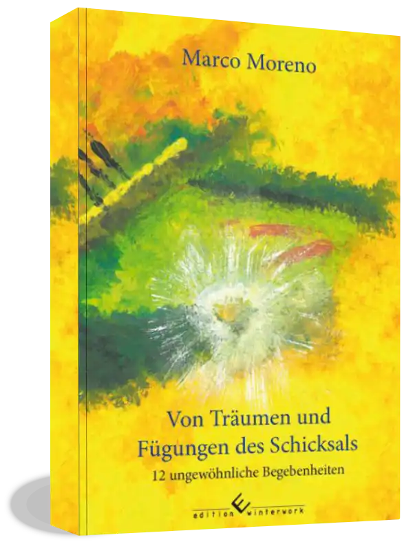 Buch cover - Von Träumen und Fügungen des Schicksals